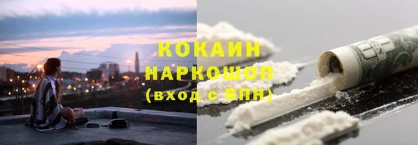 дживик Богородск