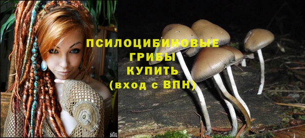 кокаин премиум Богданович
