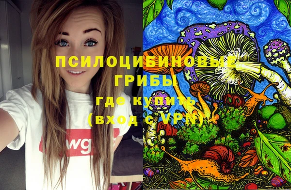 стафф Кулебаки