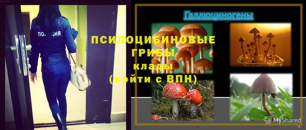 дживик Богородск