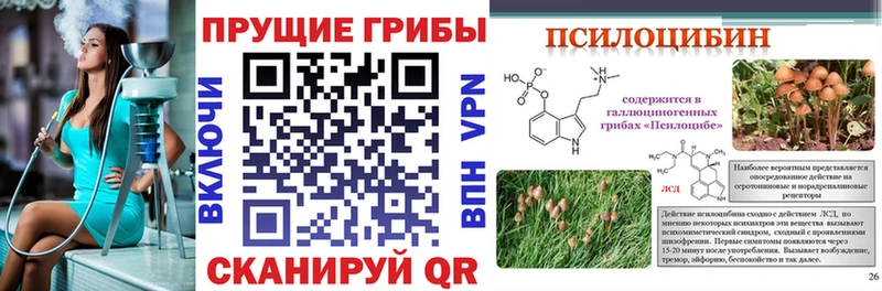 мега как зайти дарк нет официальный сайт Псилоцибиновые грибы Psilocybe Кирсанов